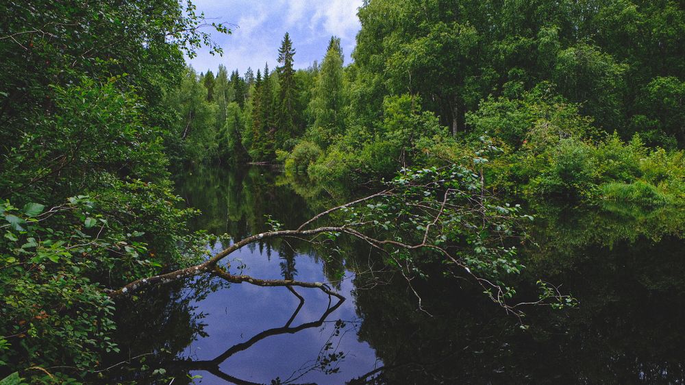 Photograph by Голод Русский