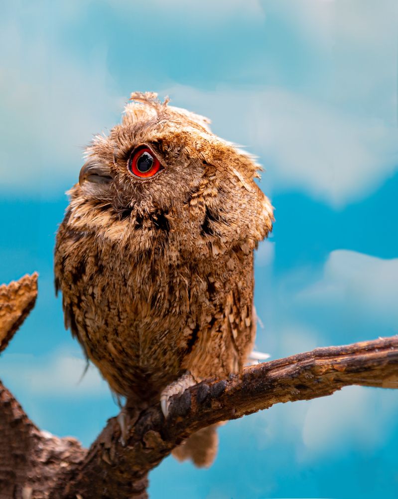 Photograph by Константин Костин