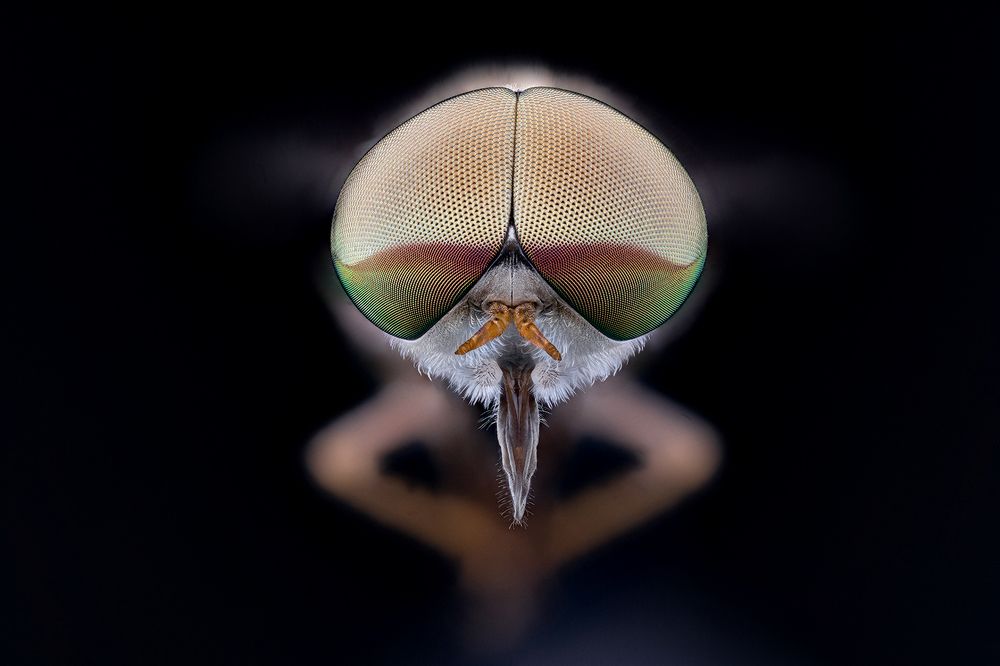 Photograph by Vicente Manuel Alvarez Mena