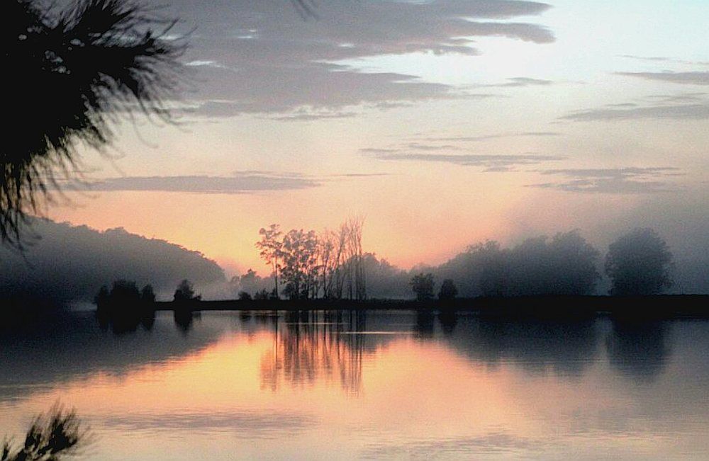 Photograph by Kirsteen Isles