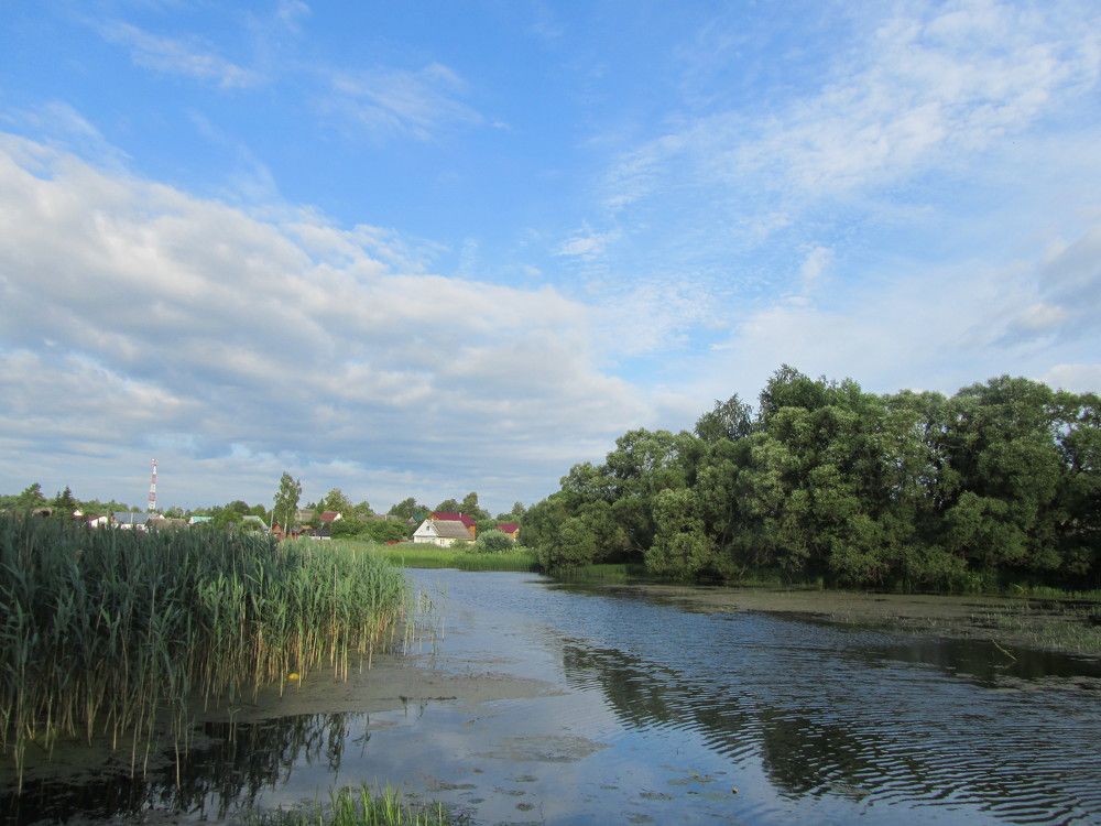 Photograph by Наталья Балан