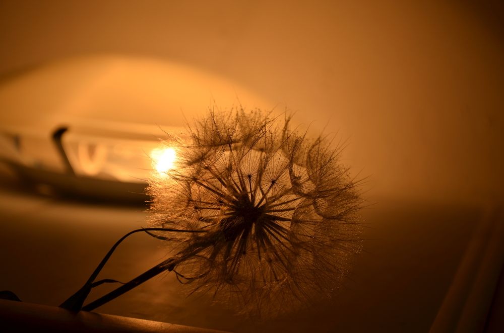 Photograph by Ольга Айдагулова