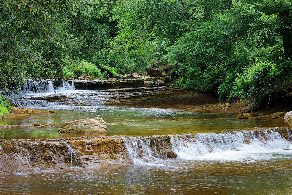 Photograph by Антонина Кузнецова