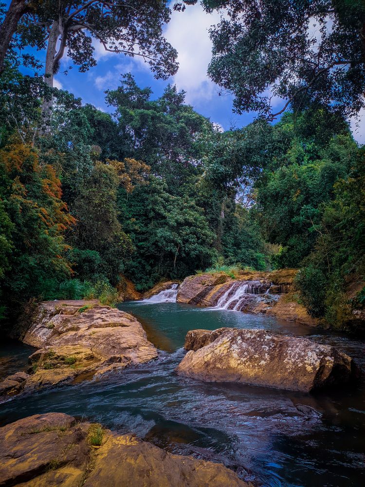 Photograph by Hewage K-vin R