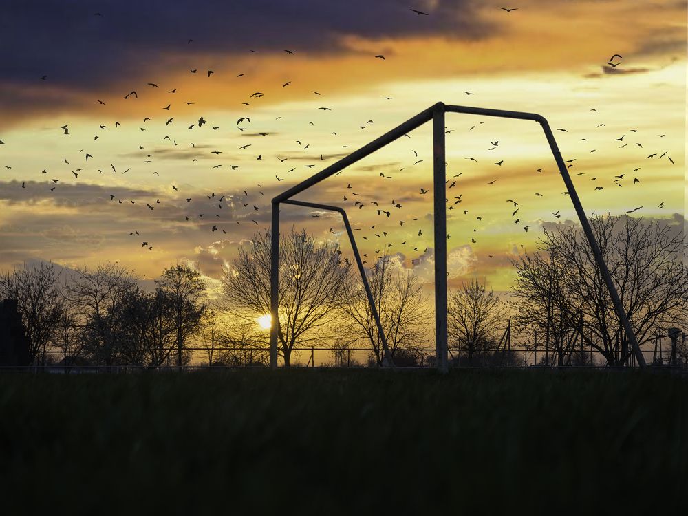 Photograph by Сергей Кадыров