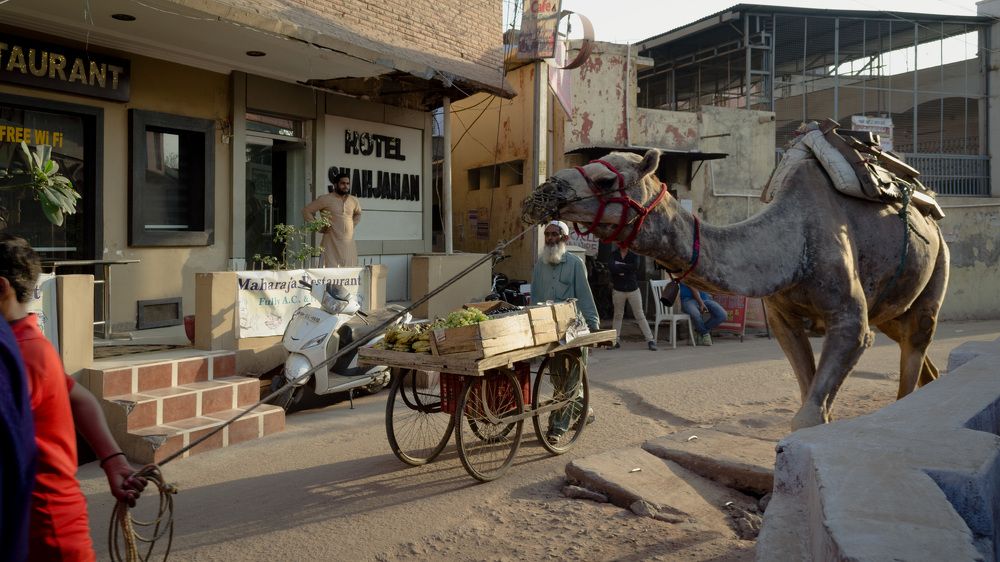 Photograph by Наталья Кокорина