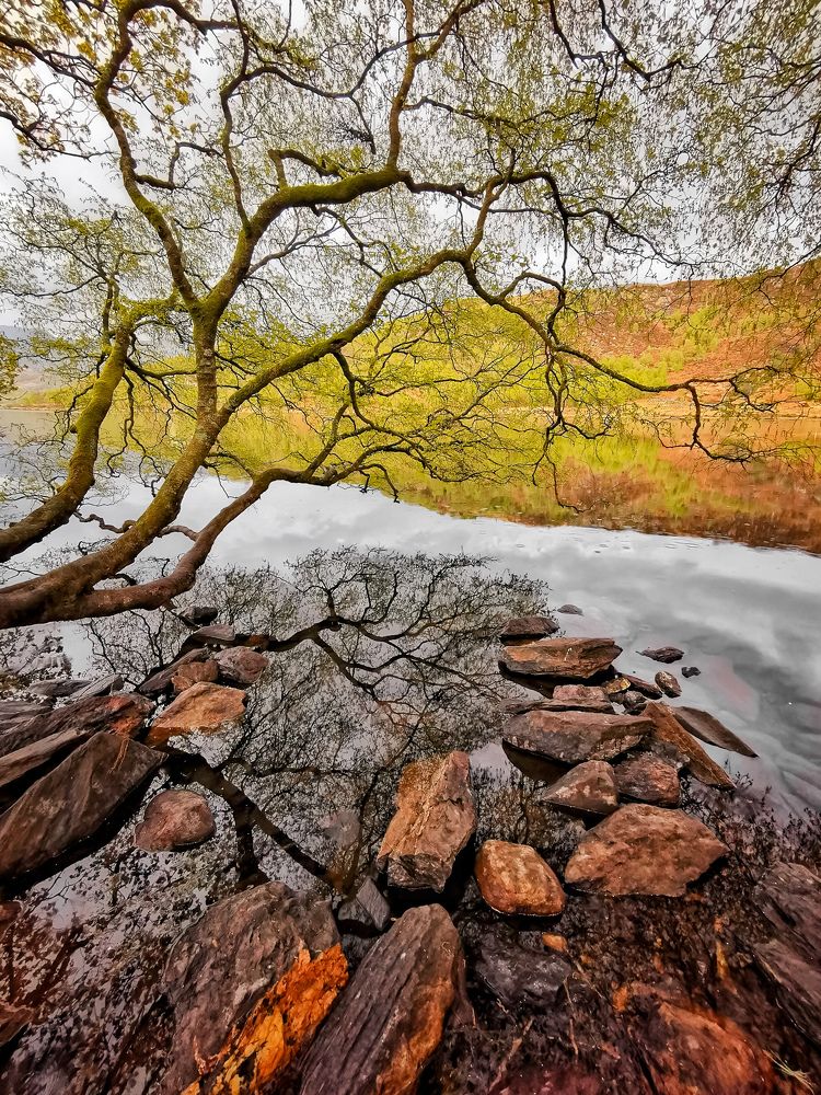 Photograph by Ингрида Кузнецова