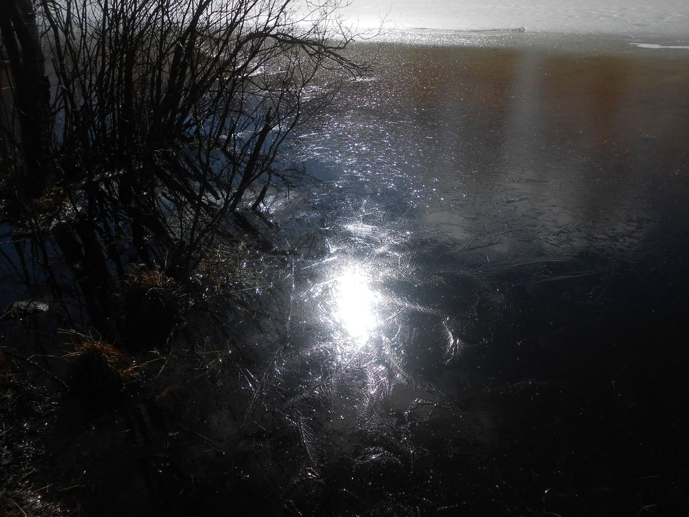 Photograph by Ольга Попова