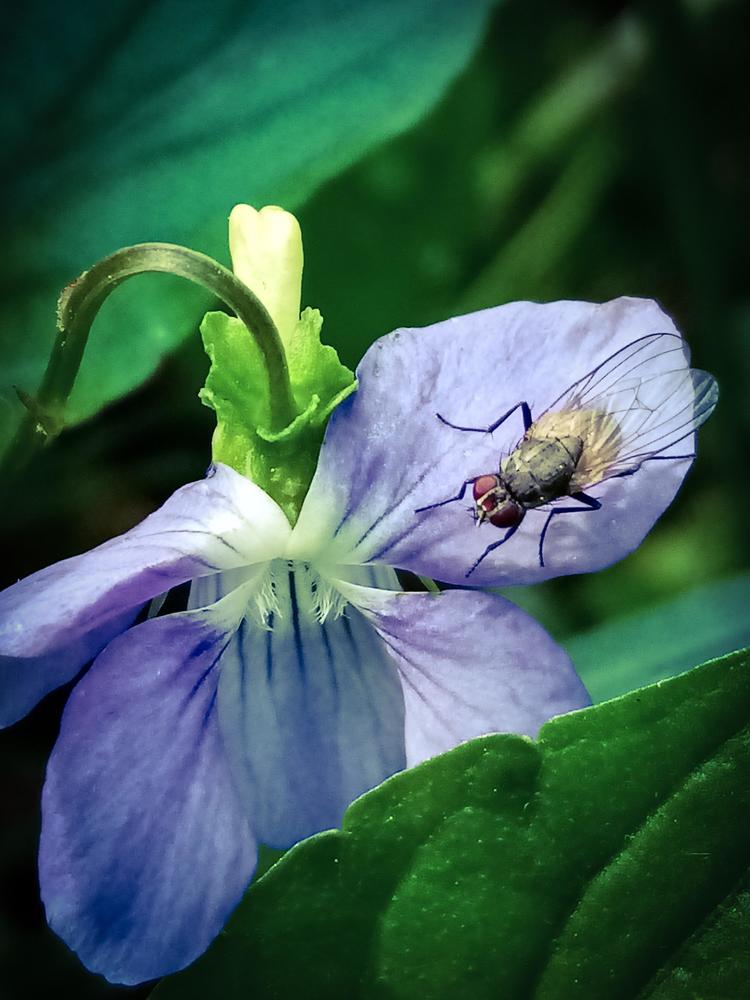 Photograph by Юлия Чиботарь