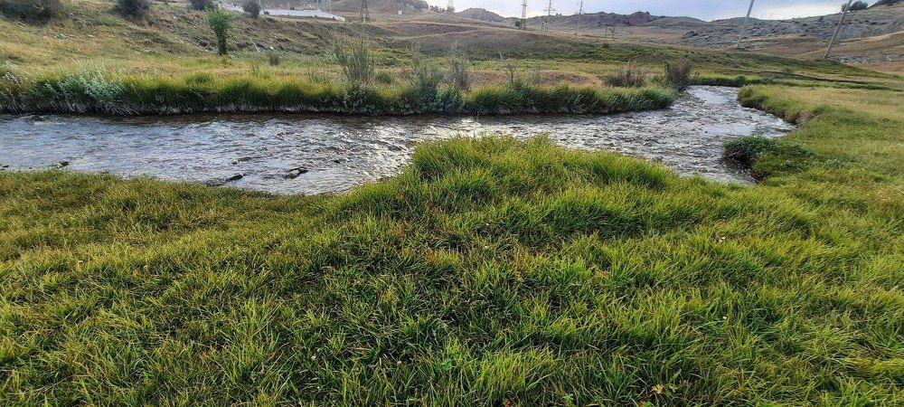 Фотография автора Sulayman Kosherbaev