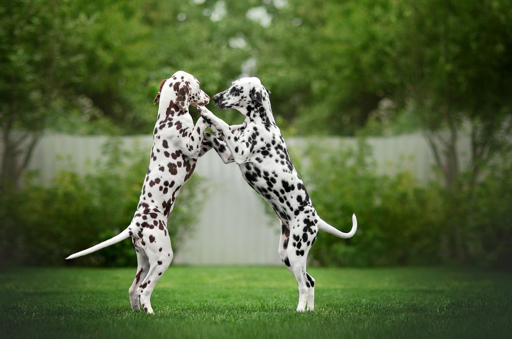 Photograph by Екатерина Кикоть