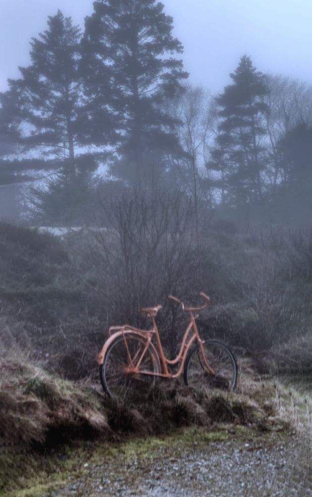 Photograph by Elena Yarantseva