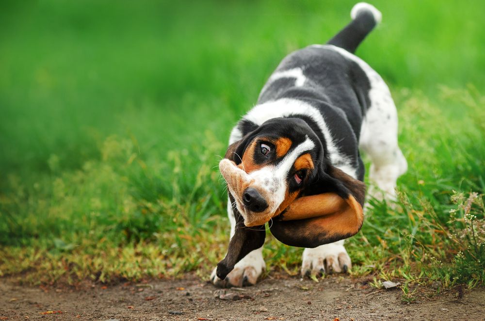 Photograph by Екатерина Кикоть