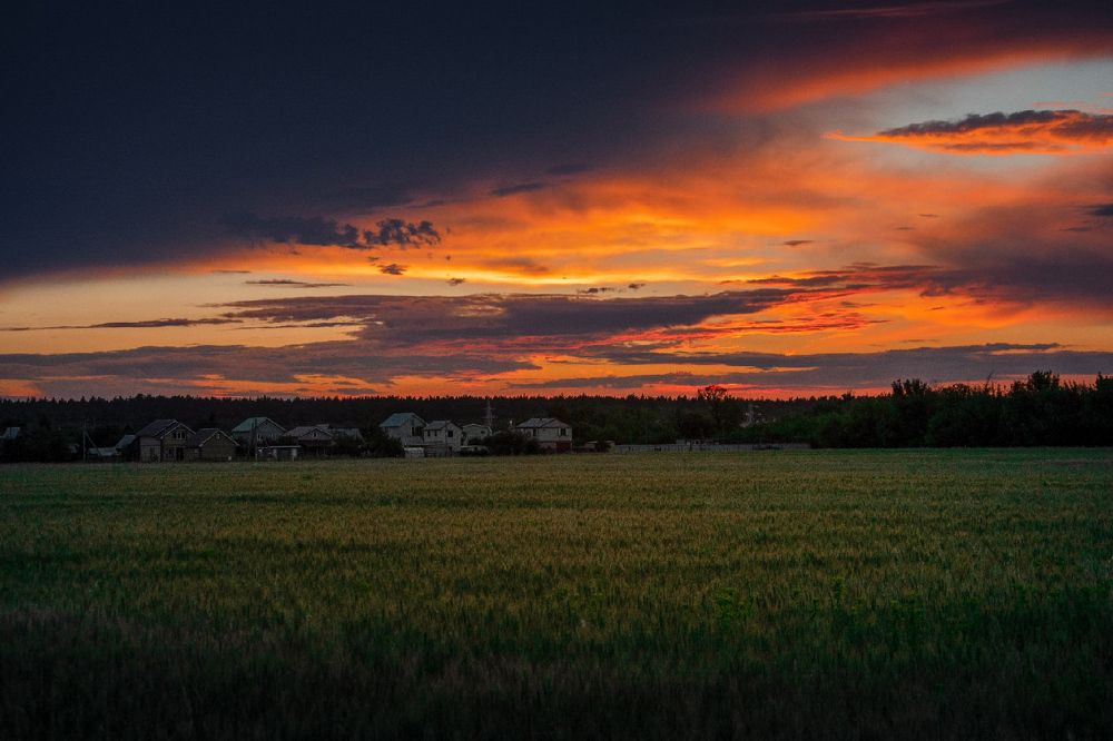 Закат над полем