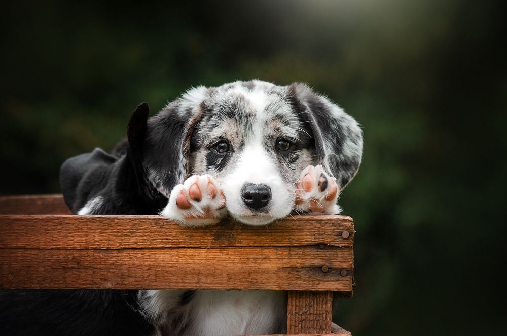 Photograph by Екатерина Кикоть