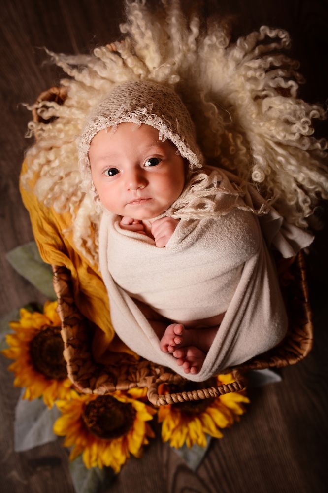 Photograph by Bojan Migač