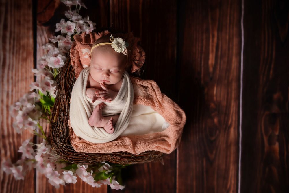 Photograph by Bojan Migač