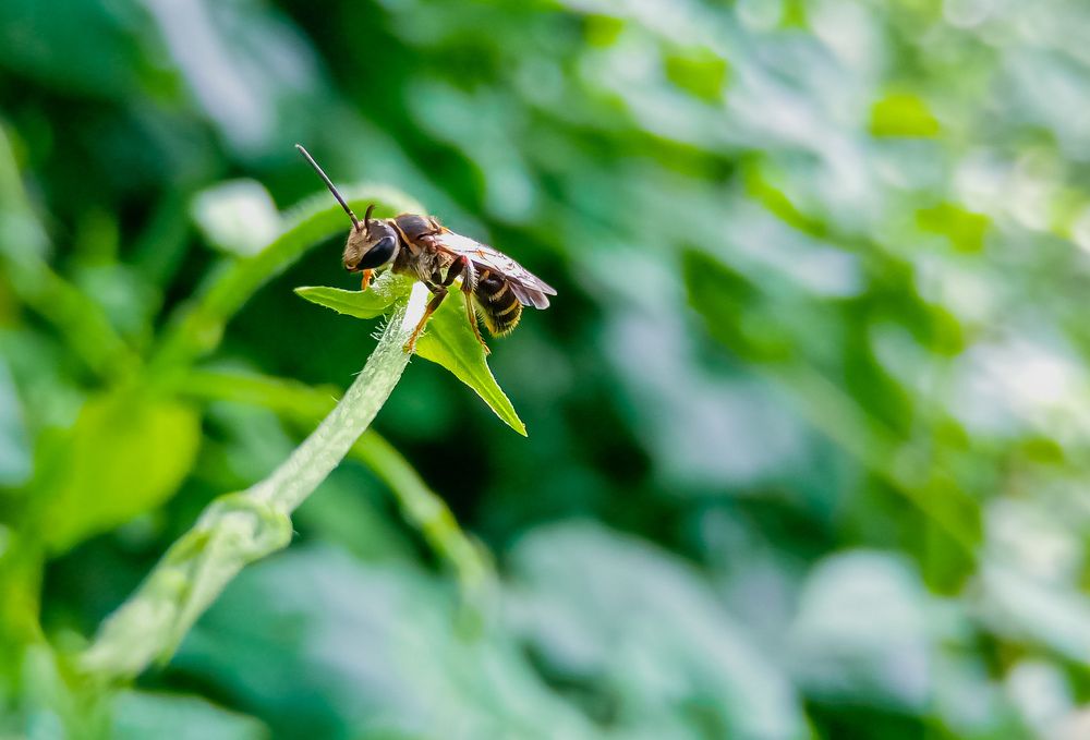 Photograph by Souvik Bhattacharyya
