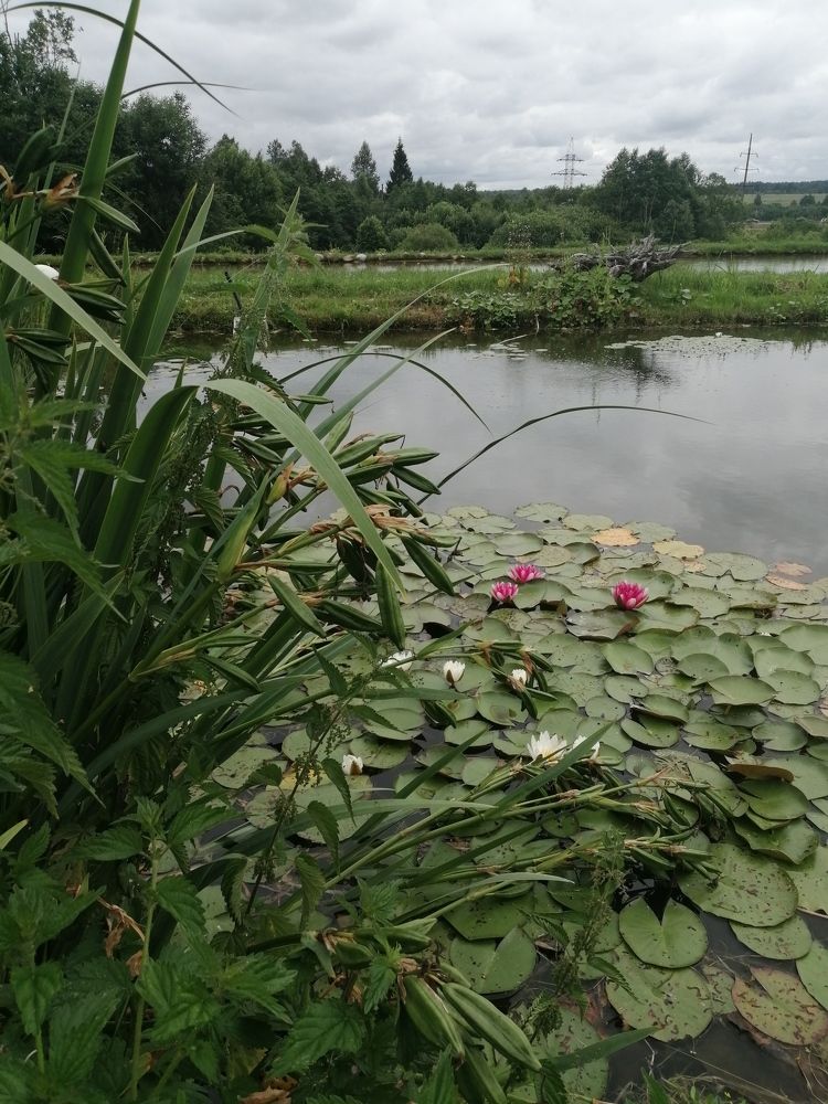 Photograph by Елена Сологубова