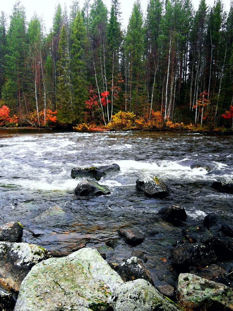 Photograph by Елена Артёменко