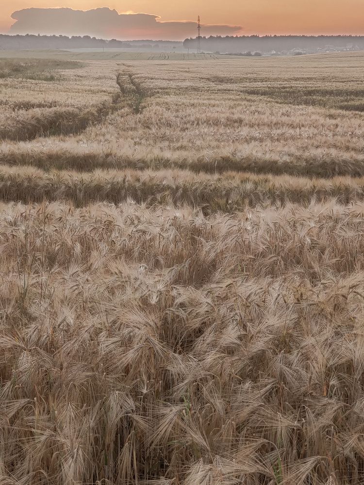 Photograph by Елена Башмакова