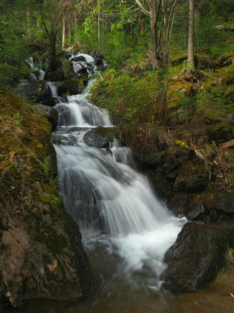 Photograph by Евгений Яковлев