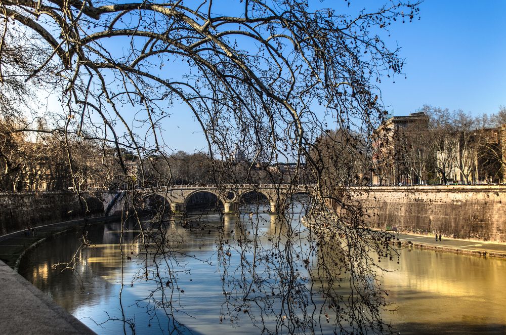 Фотография автора Нина Кулишова