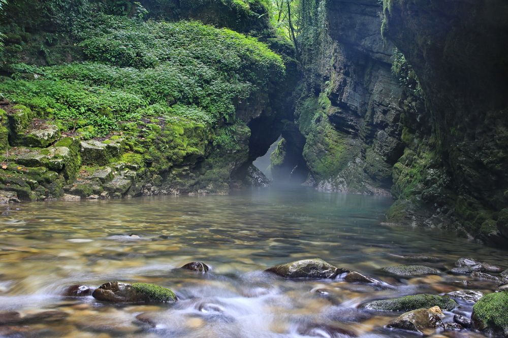 Фотография автора Mark Levitin