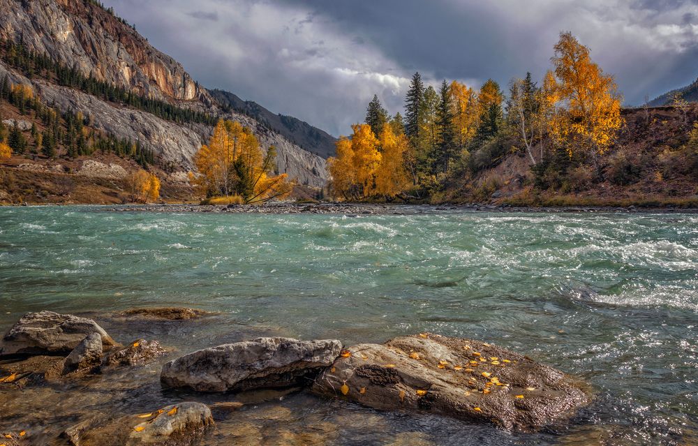 Осенняя  Чуя...