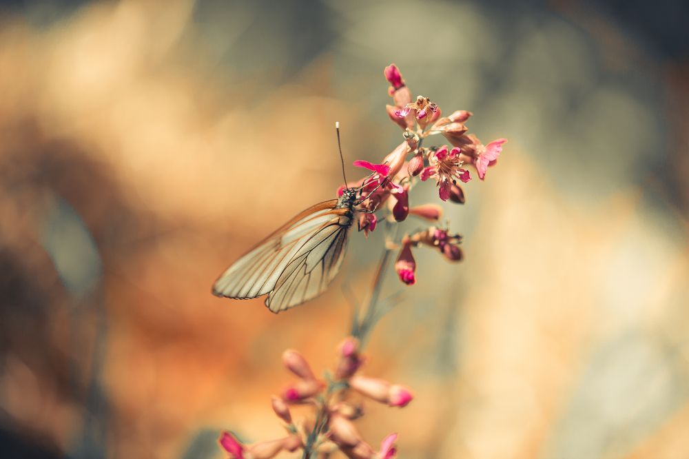 Photograph by Евгения Журавлева