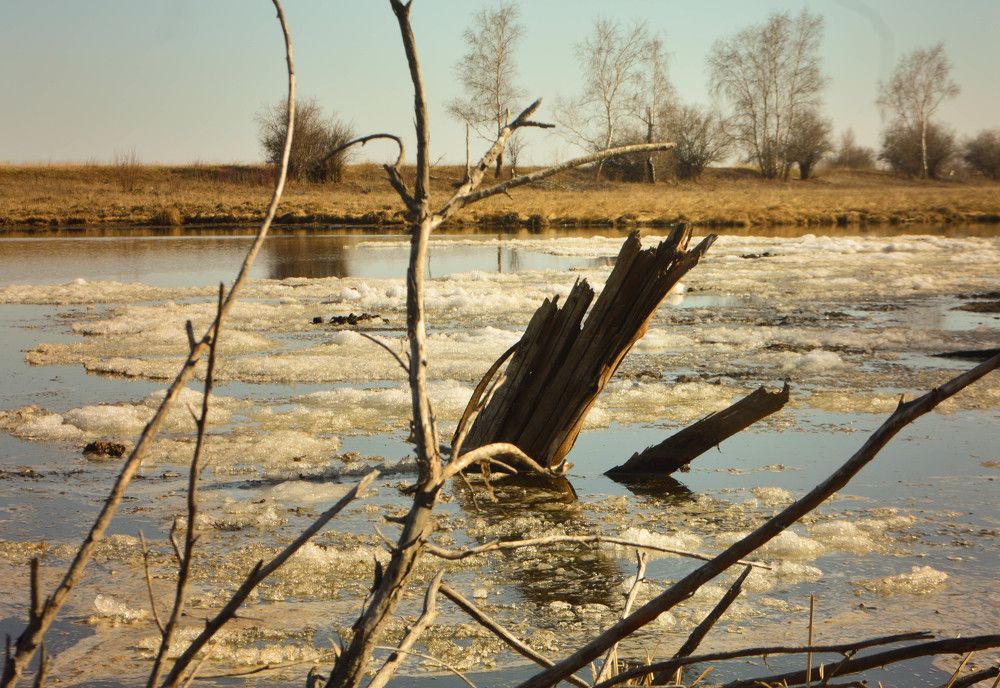 Photograph by Наталья Мордовская