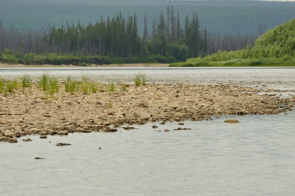 Photograph by Наталья Мордовская