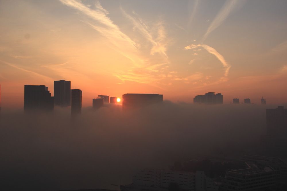 Photograph by Popa Alin