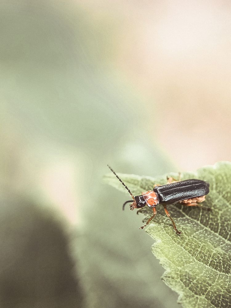 Photograph by Ирина Иванова