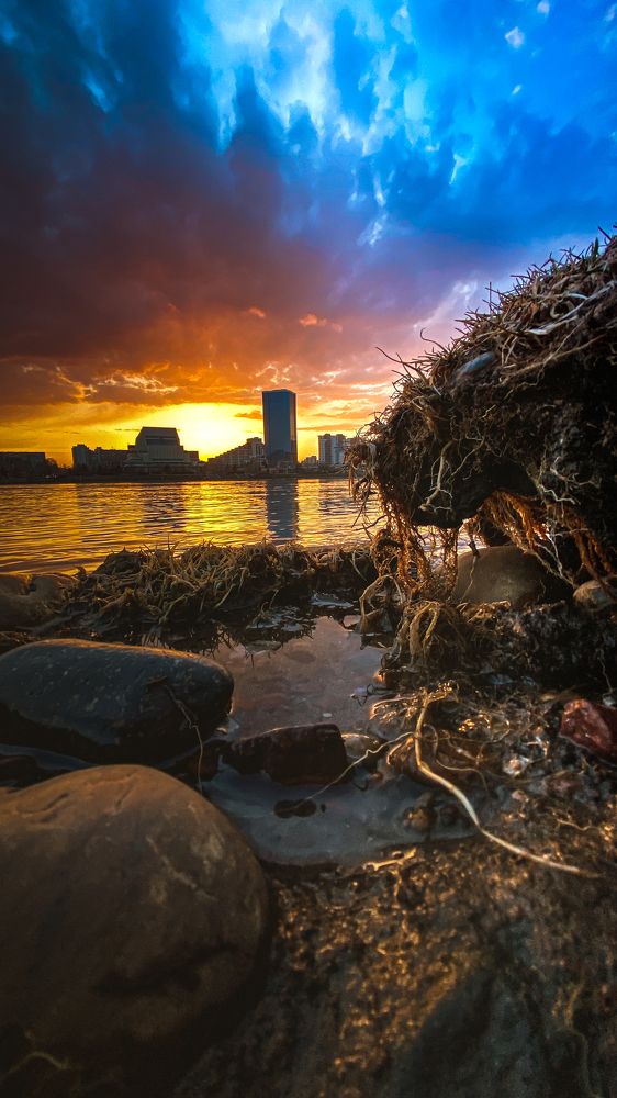 твой мир , твои правила