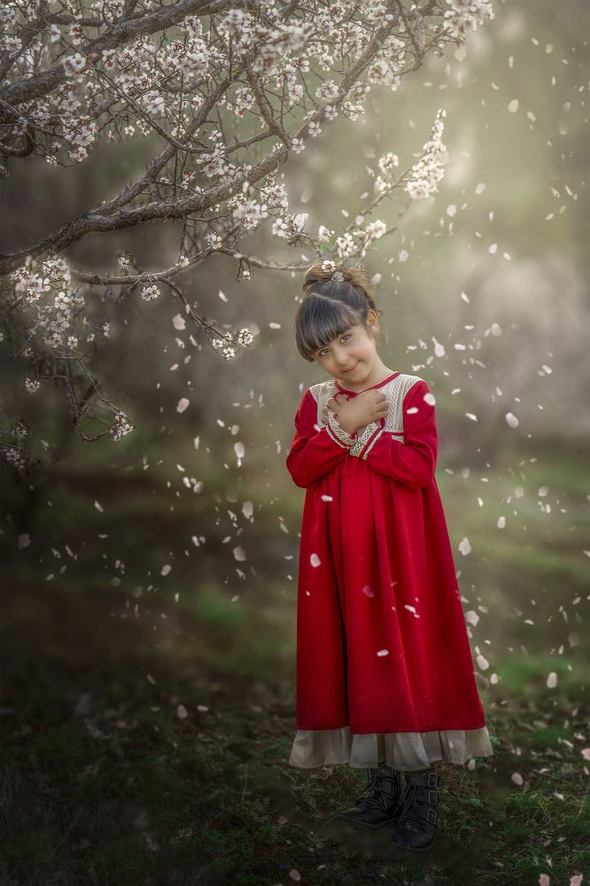 Photograph by Hossna Tanzif