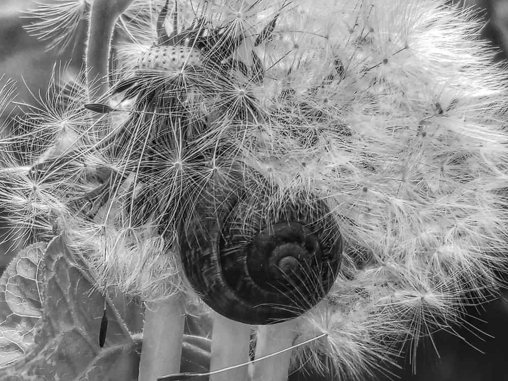 Photograph by Юлия Чиботарь