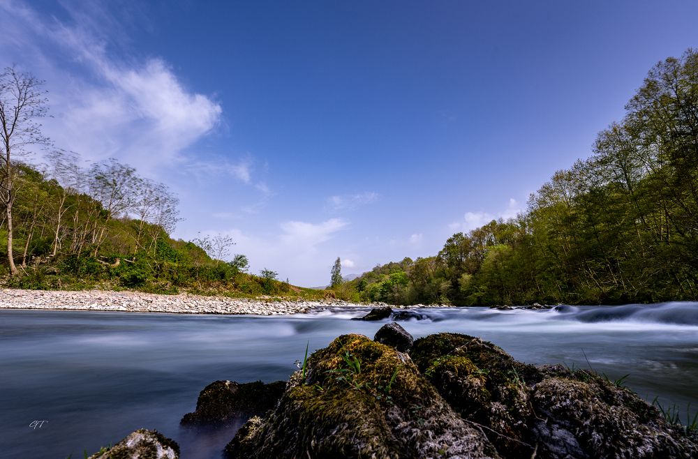 Photograph by GRISOT Thierry