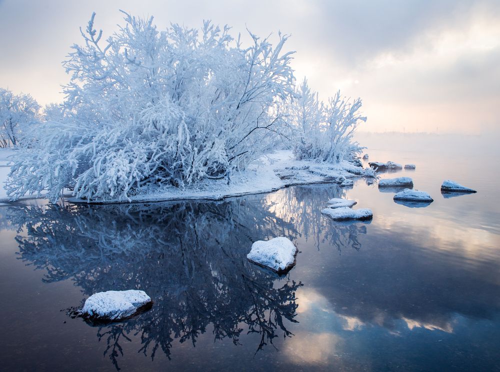 Photograph by Мария Камендова