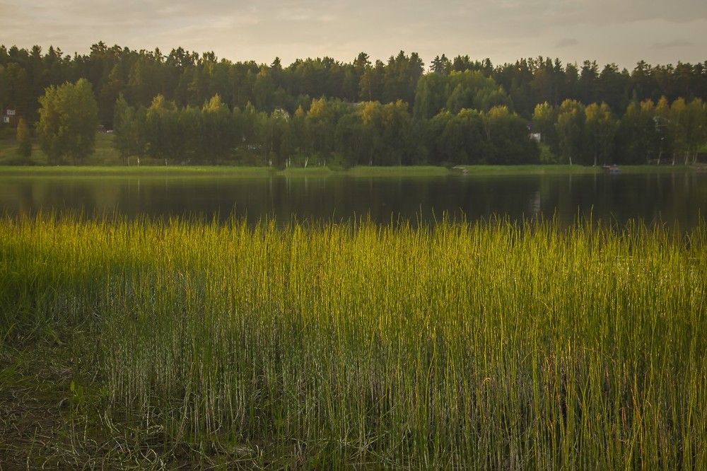 Фотография автора Светлана Котлярова