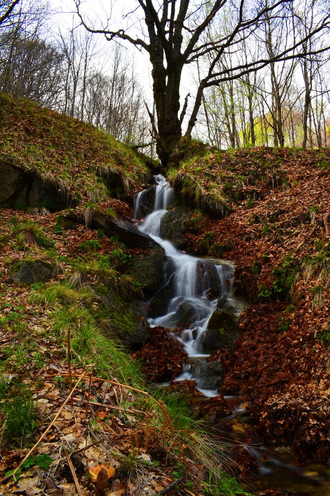 Photograph by ILIAS DIMITRIOU