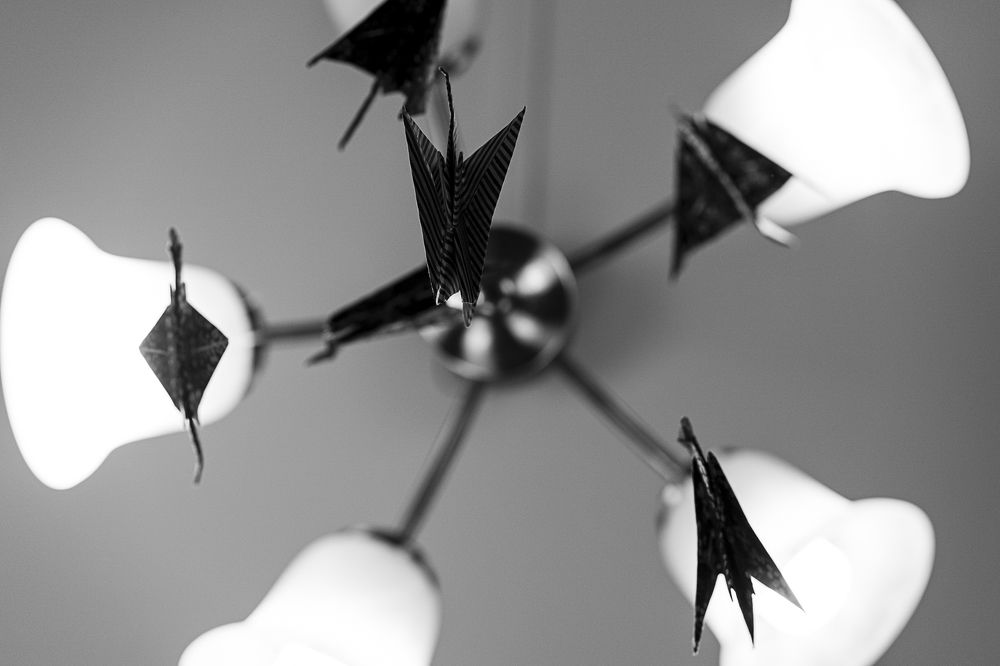 Photograph by Zsolt Noszkó