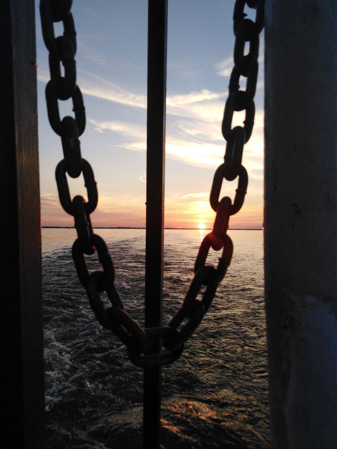 Photo #6305500