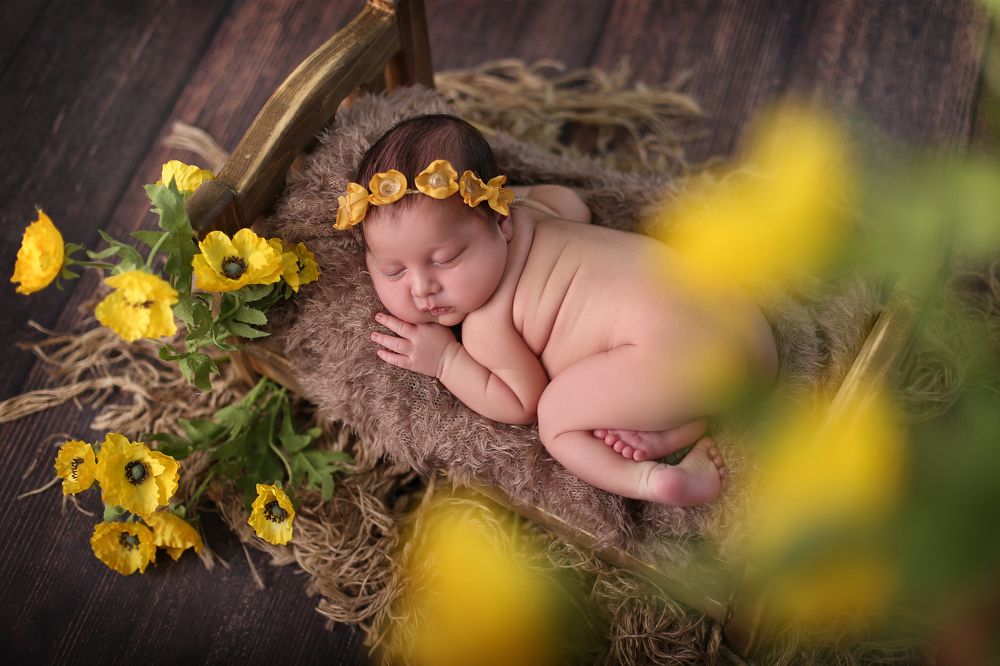 Photograph by Hossna Tanzif