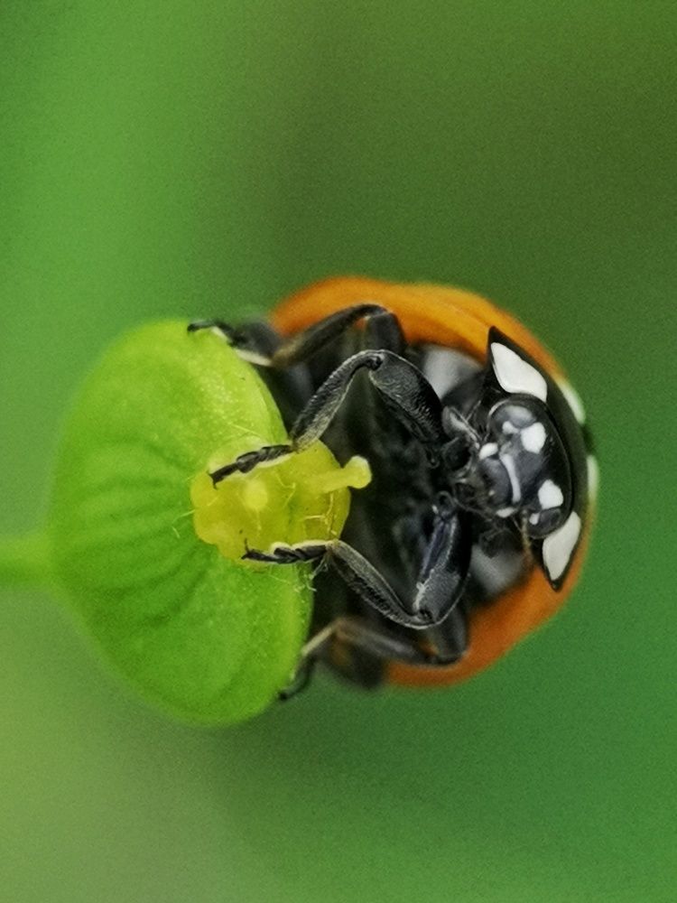 Photograph by Natali