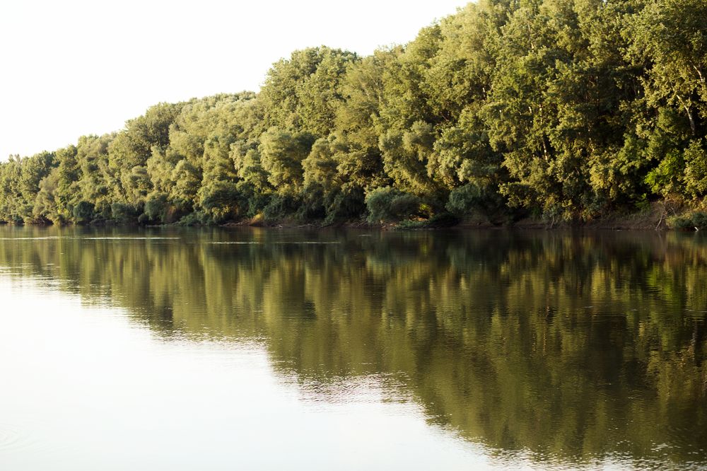 Photograph by Евгения Бузайжи