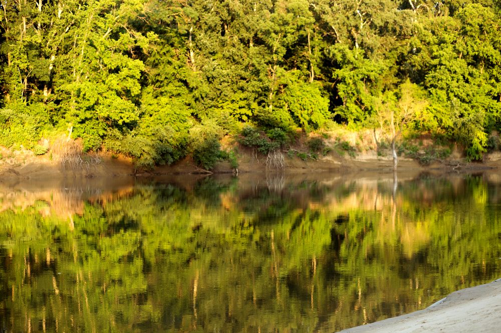 Photograph by Евгения Бузайжи