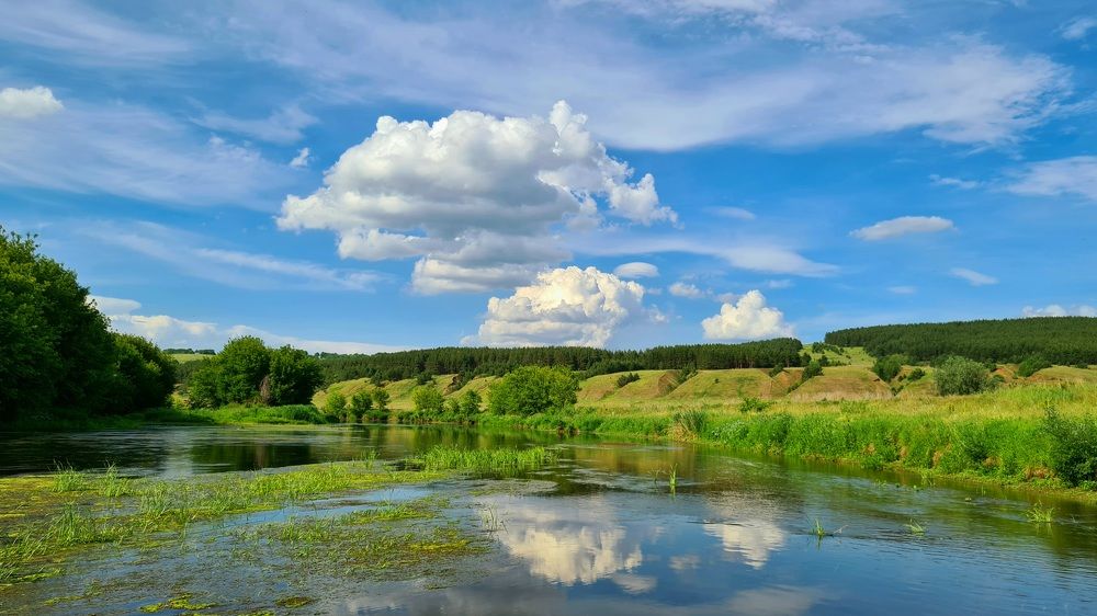 Photograph by Половова Ирина