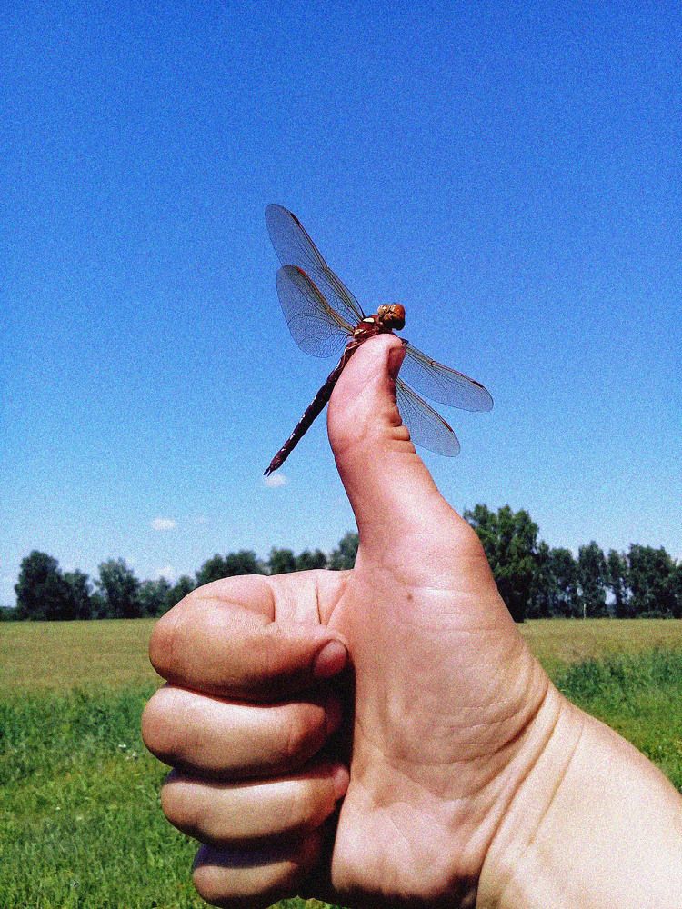 Photograph by Ольга Бычкова