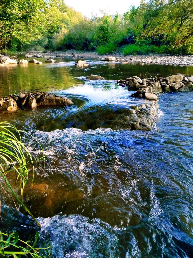Фотография автора Эльмира Фатихова
